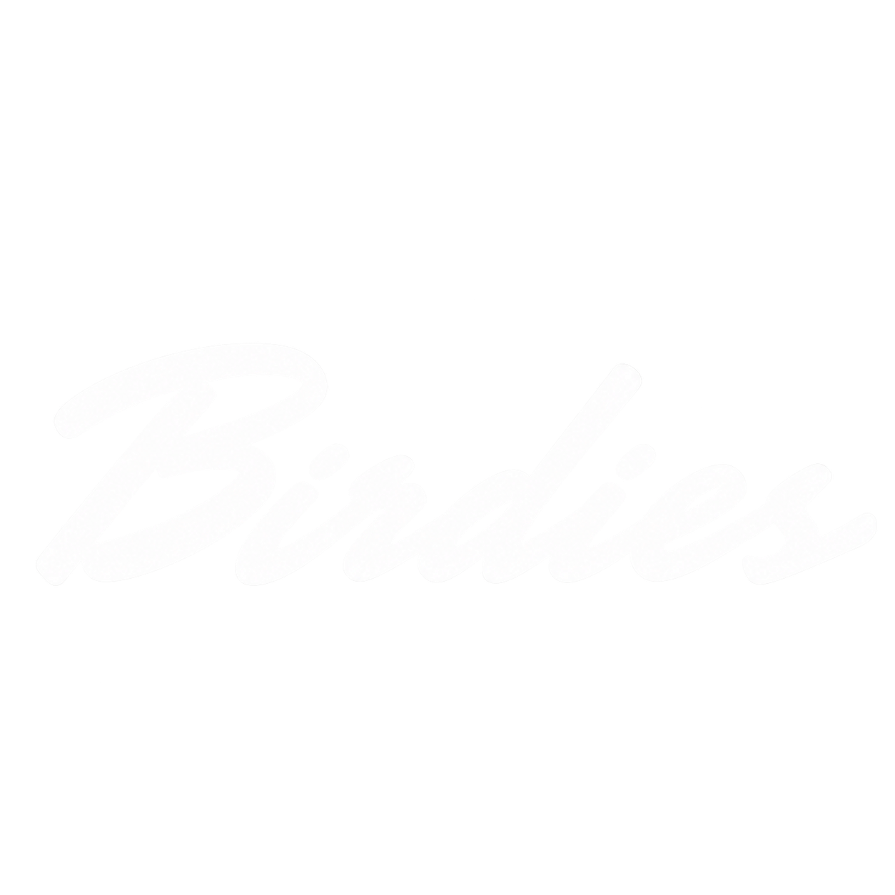 Birdies logo