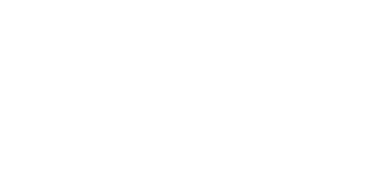 Flav logo