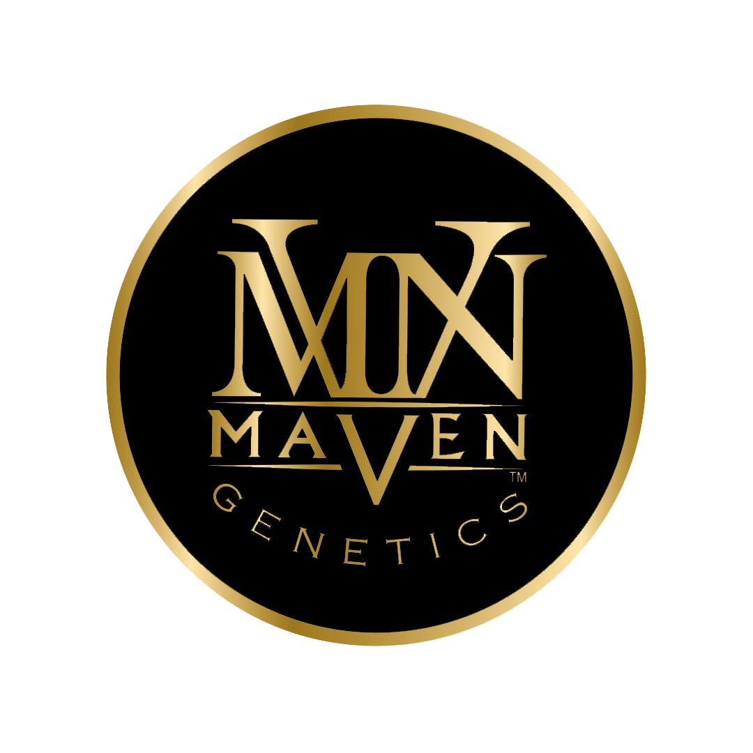 Maven logo