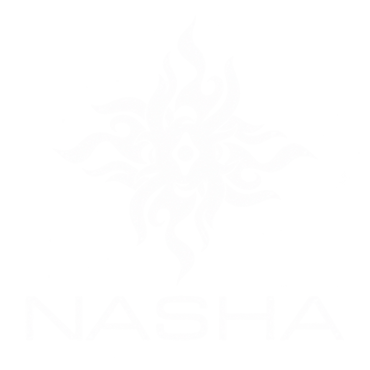 Nasha logo
